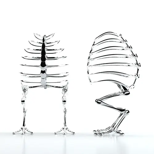 Backbone DNA 7 Silver